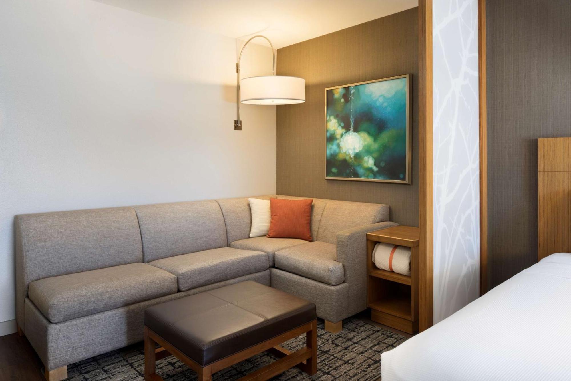 King Room with Sofa Bed and Accessible Tub - Disability Access