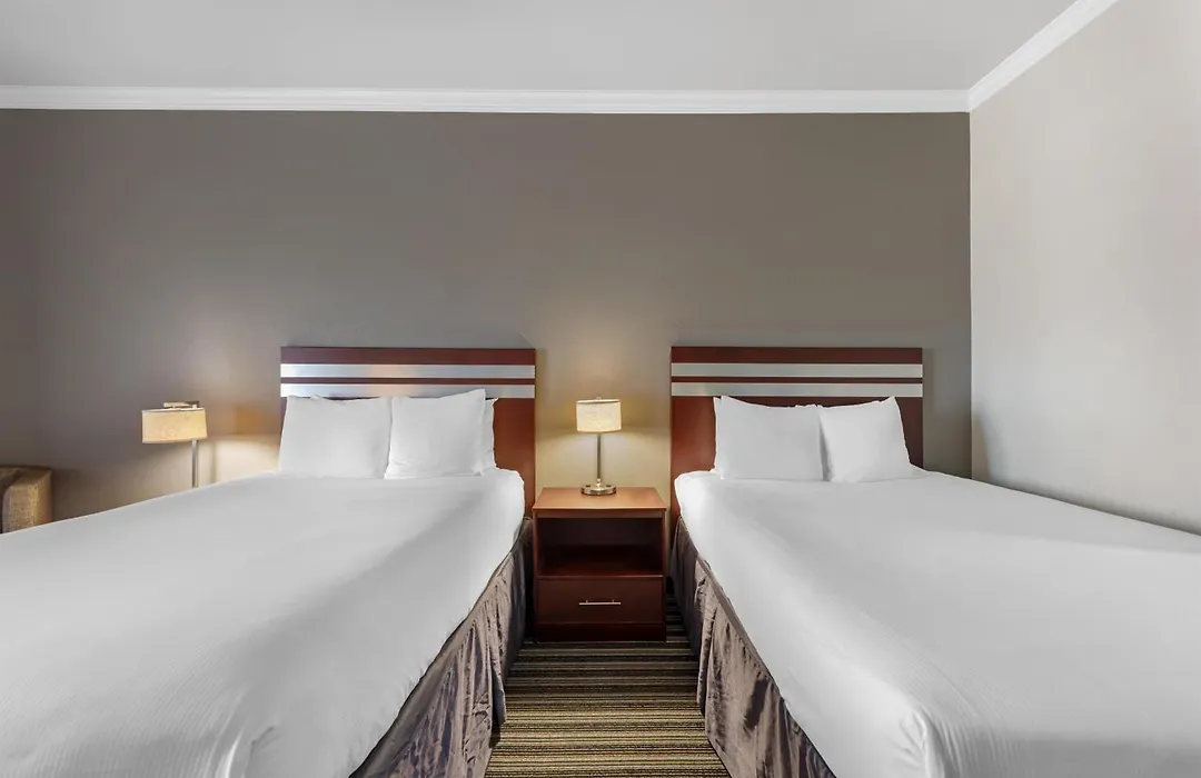Best Western Plus Austin Airport Inn&Suites-1