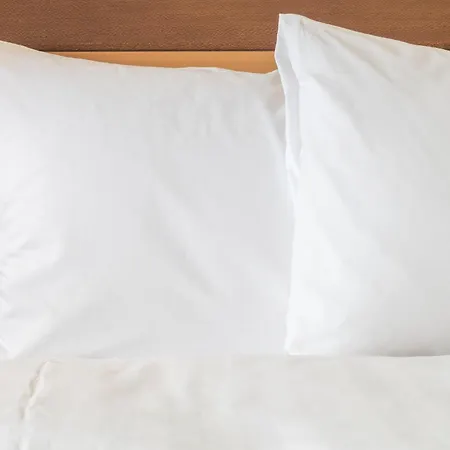 Holiday Inn Austin Midtown By Ihg-3