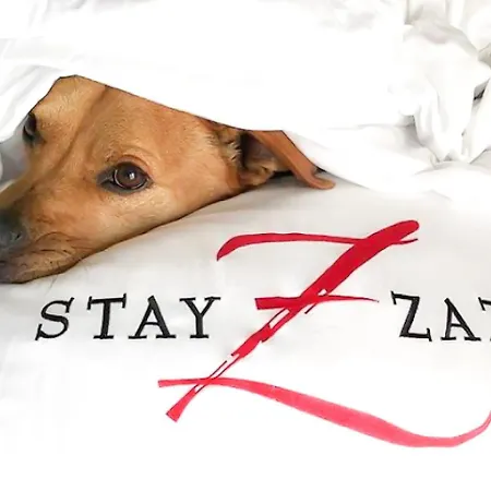 Hotel Zaza Austin-2