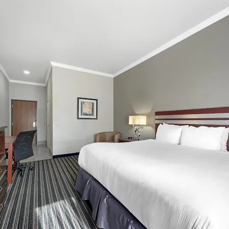 Best Western Plus Austin Airport Inn & Suites-3