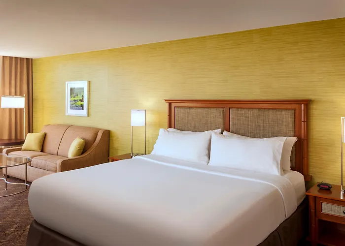 Hotels in AustinHoliday Inn -Town Lake By Ihg