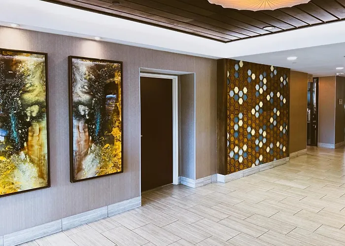 Springhill Suites By Marriott Austin The Domain Area