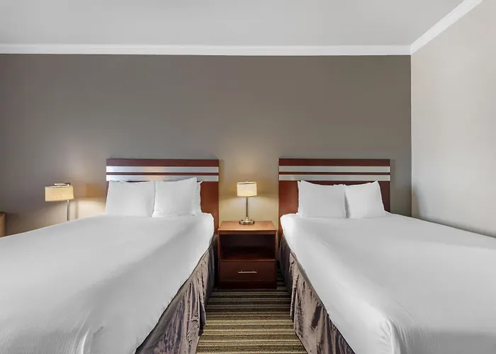 Best Western Plus Austin Airport Inn&Suites