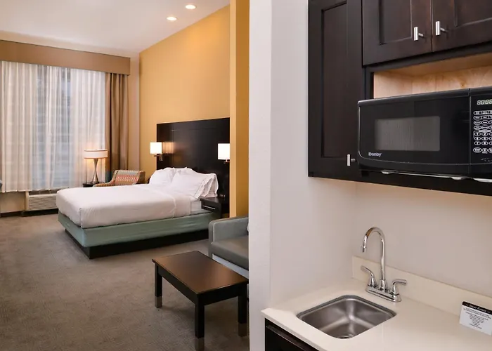 Holiday Inn Express & Suites Austin South By Ihg