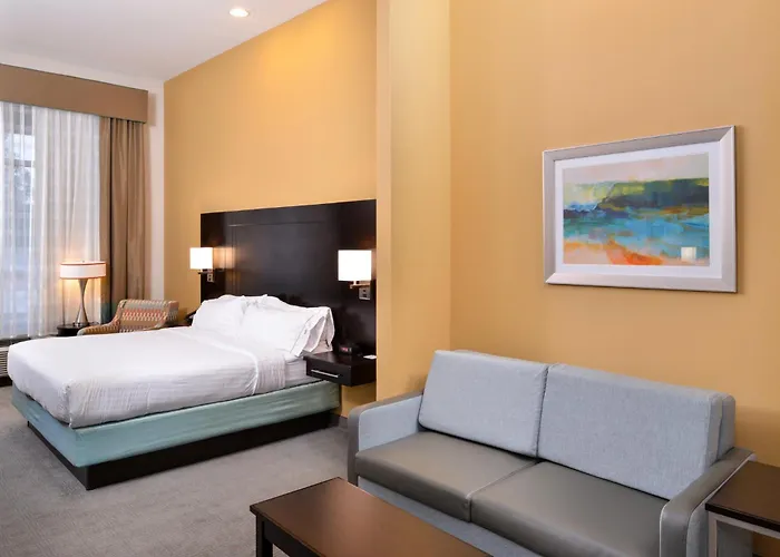 Holiday Inn Express & Suites Austin South By Ihg